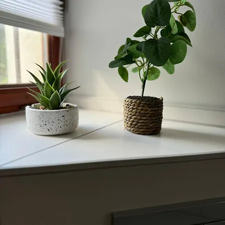 Apartment Alte Quickbox *