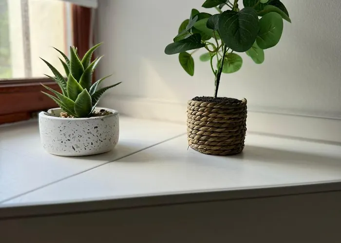 Apartment Neue Quickbox *